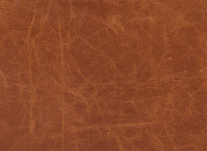 Konjako elegancija - luxu.lt